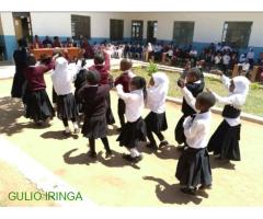 KARIBU THE MGAO PRE AND PRIMARY SCHOOL