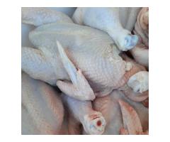 kuku wa kisasa wa nyama - 6