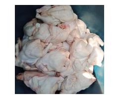 Tunauza kuku wa nyama - 6