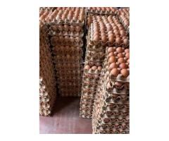 Nauza mayai ya kisasa