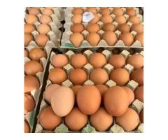 Nauza mayai ya kisasa