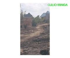 Kiwanja kipo mafinga nauza