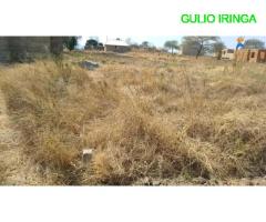 Kiwanja kinauzwa isakalilo