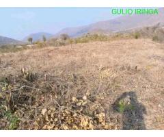 Nyumba za kupanga iringa mjini