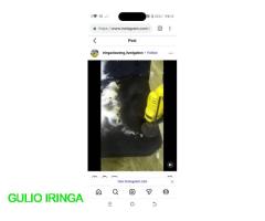 Iringa Cleaning and Fumigation