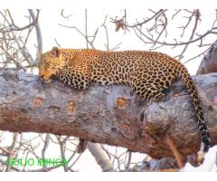 Huduma ya usafirishaji iringa