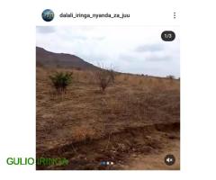 Dalali wa Nyumba Iringa | Viwanja, Mashamba na Magari