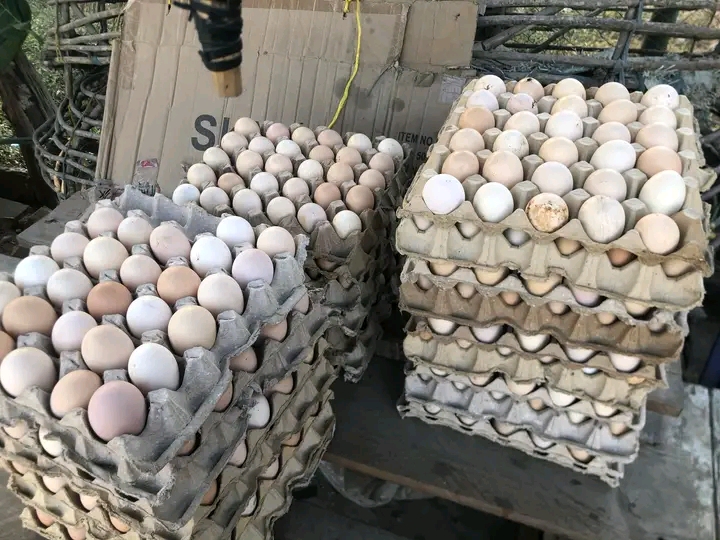 SOKO LA MAYAI YA KIENYEJI