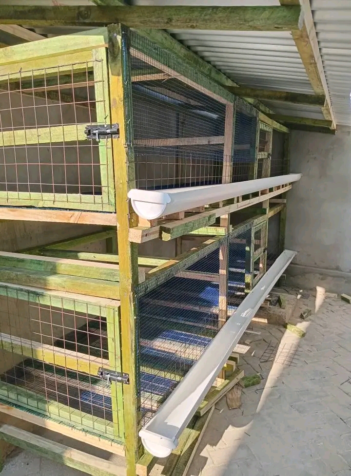  Mabanda ya kuku wa kienyeji Tanzania 