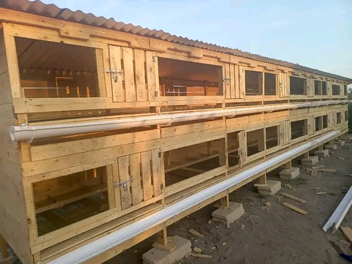 Mabanda Bora ya kuku wa kienyeji 