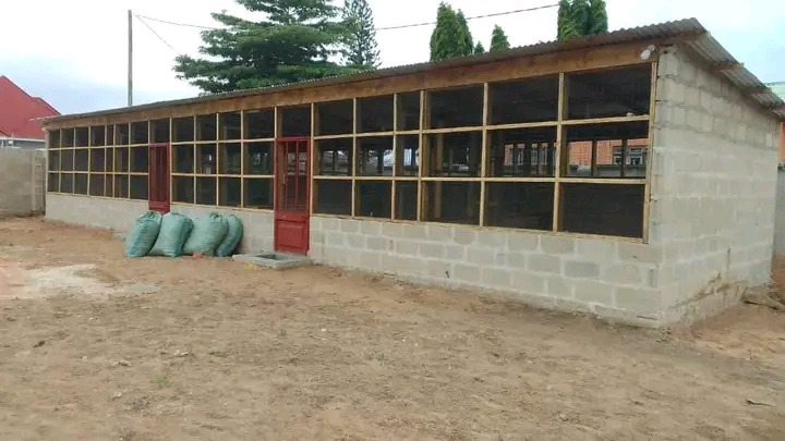 Mabanda ya Kuku Yanayoongeza Uzalishaji Haraka