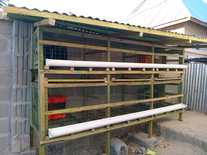 Mabanda ya Kuku Yanayodumu Kwa Muda Mrefu Sana