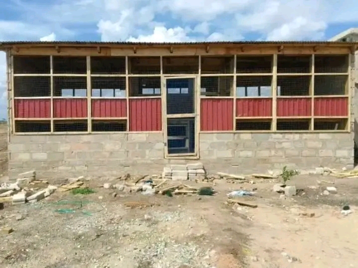 Mabanda ya Kuku Bora kwa Kuanzisha Mradi Mpya