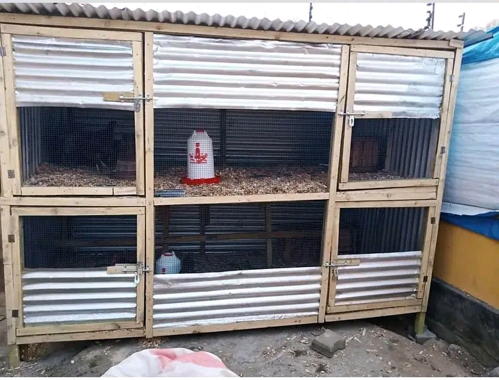 Mabanda ya Kuku ya Kisasa kwa Wafugaji Wadogo