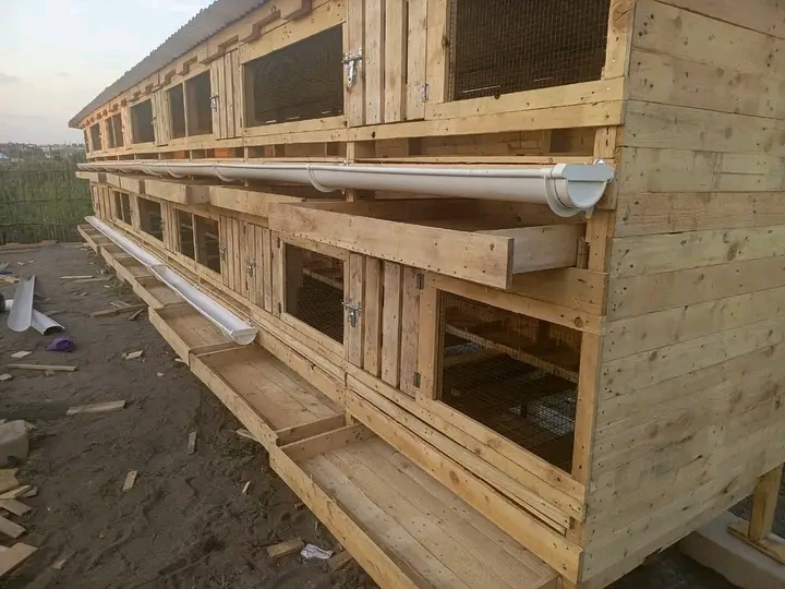 Mabanda ya Kuku ya Kisasa tathmini Kabla ya Kununua