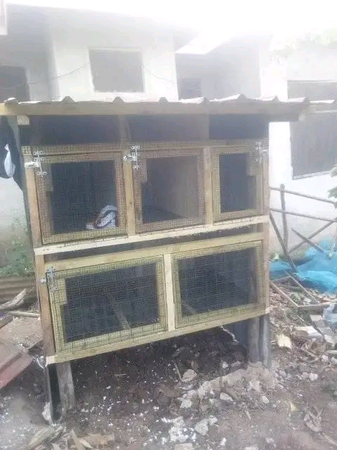 Mabanda ya Kuku ya Kisasa kwa ufugaji mdogo