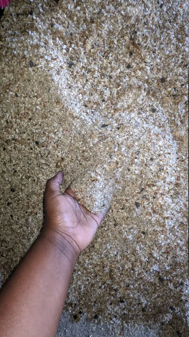 Bei ya chakula cha kuku wa nyama